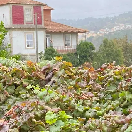 Quinta Da Chentuada Ferienhaus *