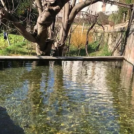 Quinta Da Chentuada Semesterbostad Amarante